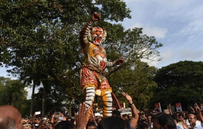  Тигриный фестиваль Пули Кали в Индии (12 фото)