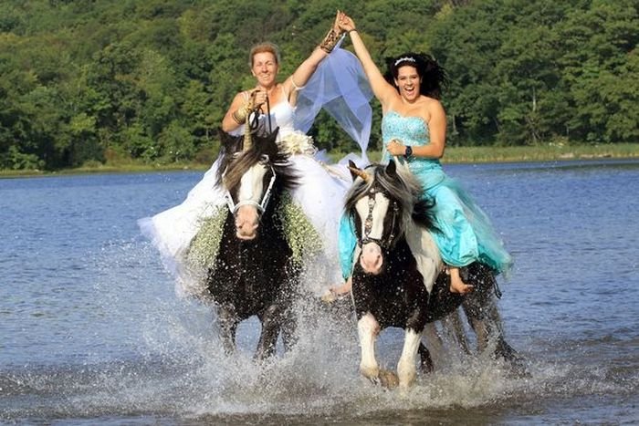 Лошадь испортила свадебную фотосессию американки (4 фото)