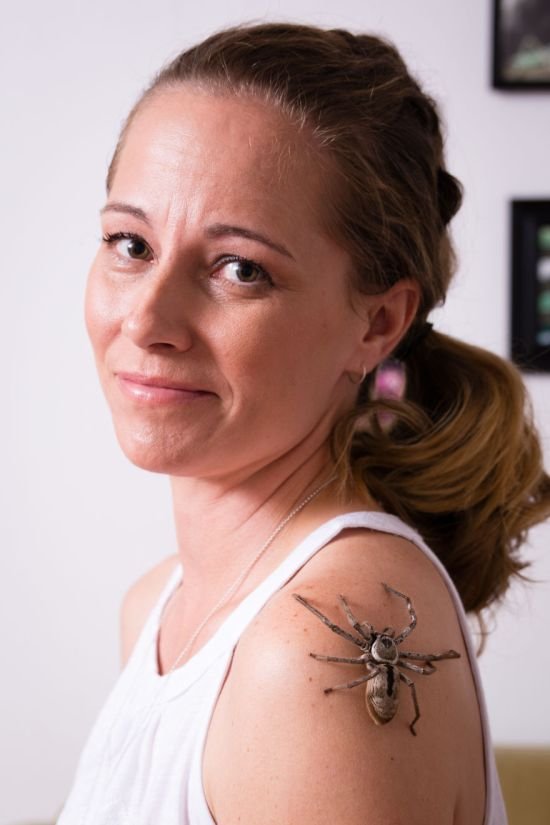 Энтомолог из Австралии считает ядовитых пауков лучшими домашними животными (16 фото)