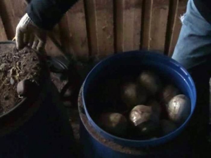  Житель Перми хранил 123 кг героина в сарае с баранами (4 фото)