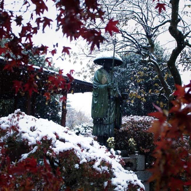 В Токио впервые за 54 года первый снег выпал в ноябре (11 фото)