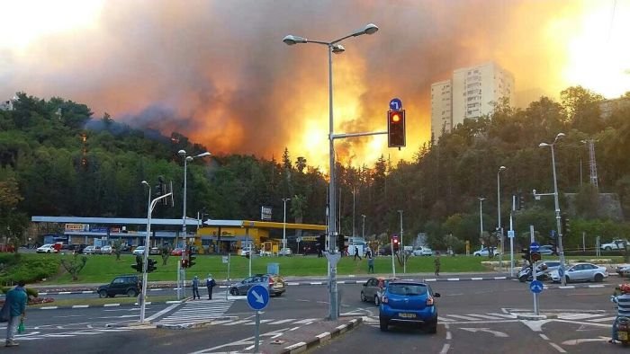 В Хайфе из-за пожара эвакуированы более 60 000 человек (7 фото)
