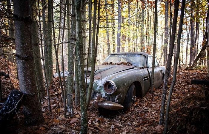  Aston Martin DB4, простоявший 40 лет в лесу, продадут за полмиллиона долларов (8 фото)