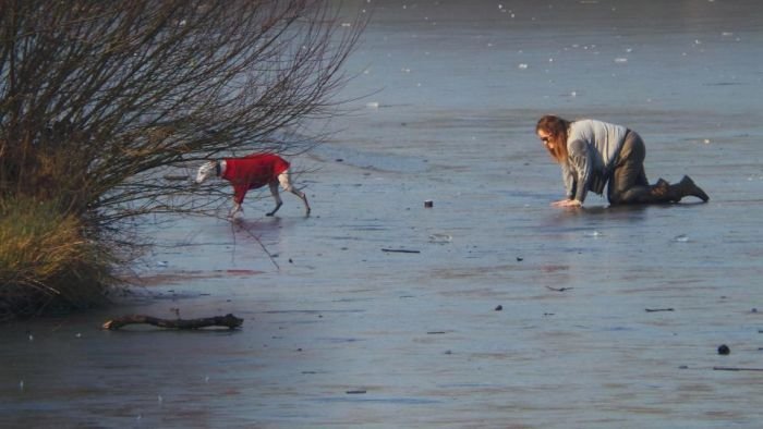  Спасение провалившейся под лед собаки (8 фото)