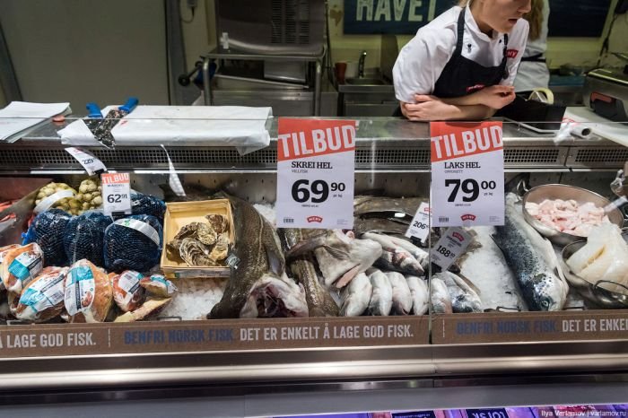  Цены на продукты питания в Норвегии (42 фото)