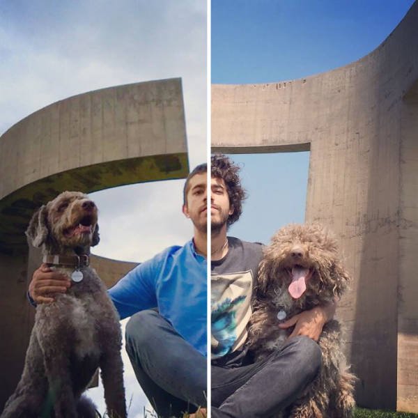  Собаки до и после стрижки (50 фото)