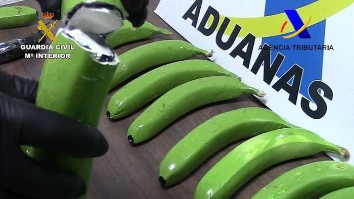  Испанская полиция обнаружила партию кокаина, спрятанную в поддельных бананах (6 фото)