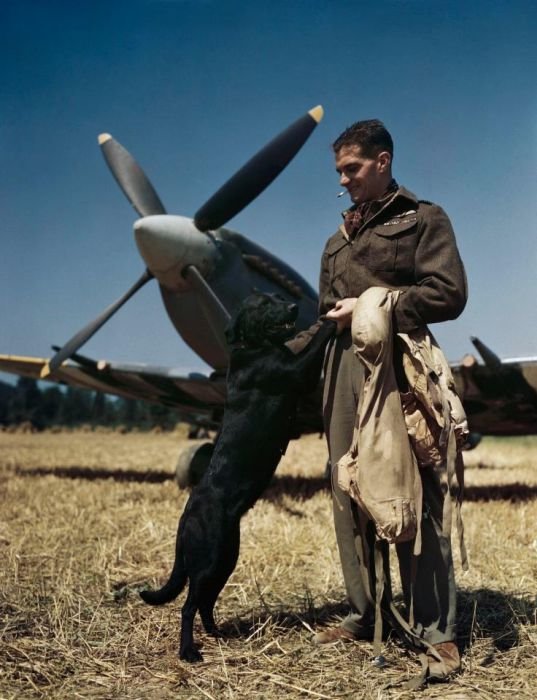  Редкие цветные фото Второй мировой войны (23 фото)