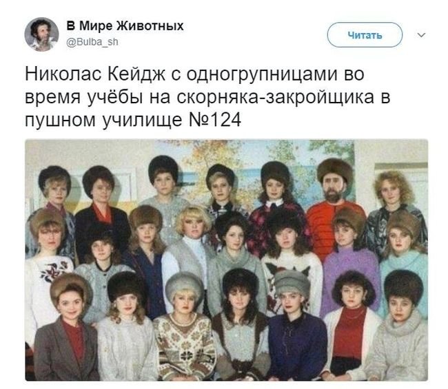   (63 )