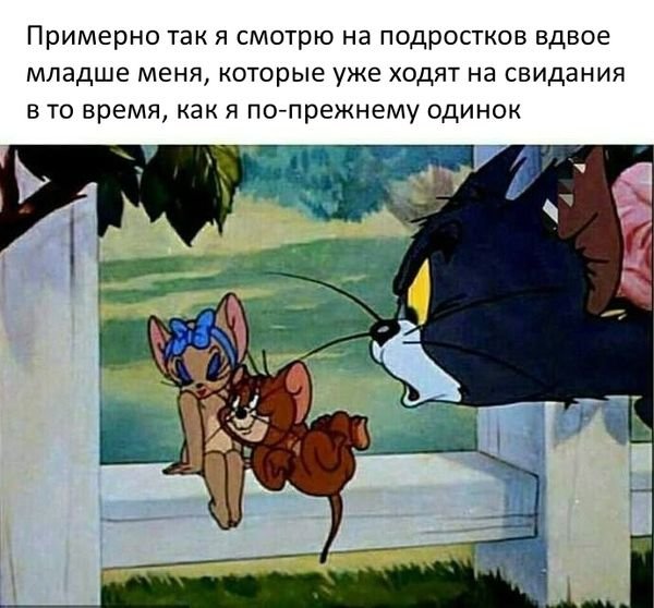   (63 )