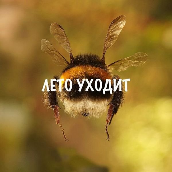   (100 )