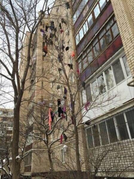   (100 )