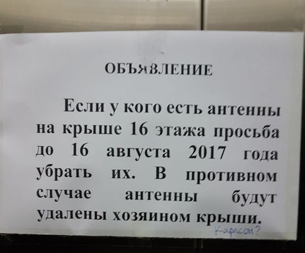   (100 )
