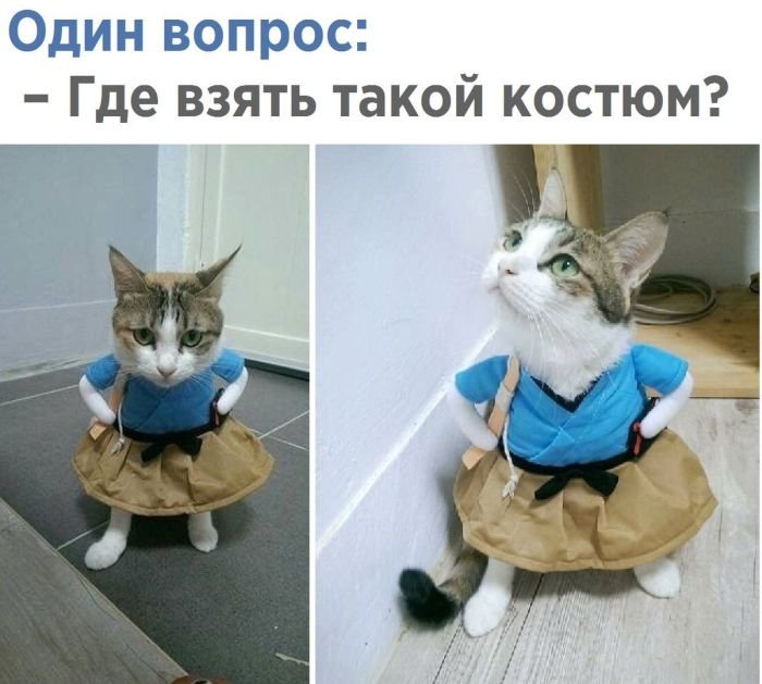   (100 )