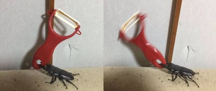   (100 )