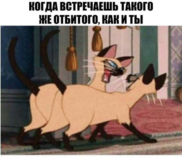   (100 )