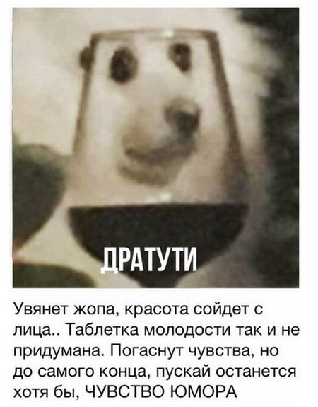   (51 )