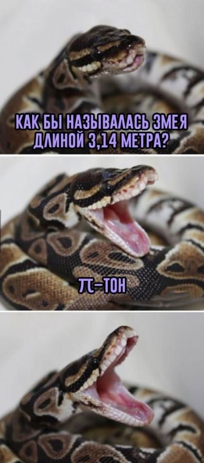   (82 )
