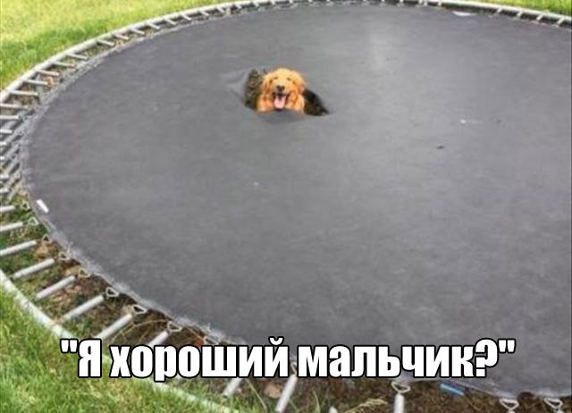   (82 )