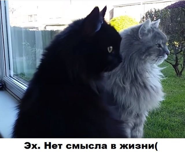   (82 )