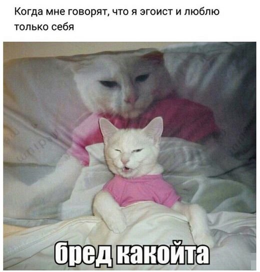   (82 )