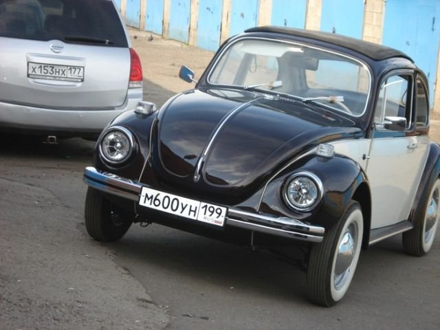   Volkswagen Beetle (24 )