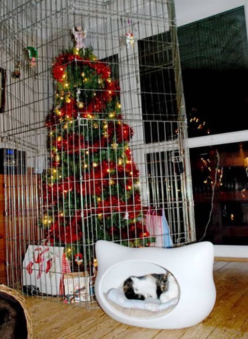 Как защитить новогоднюю елку от домашних животных (36 фото)