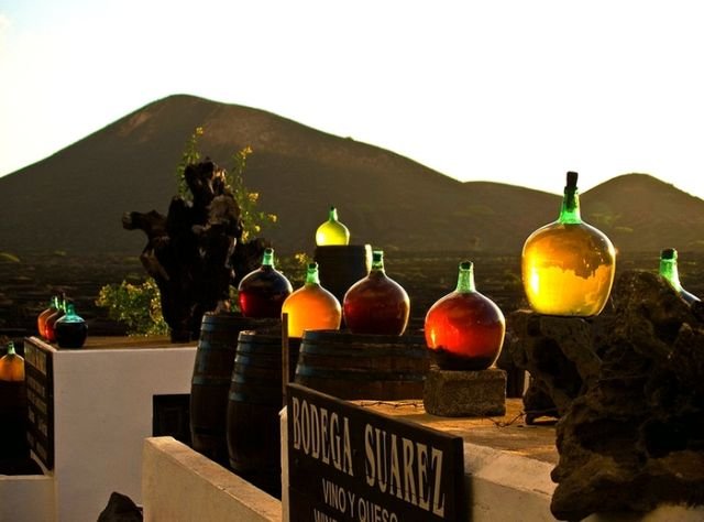 Как вулканические камни помогают виноделам острова Лансароте (7 фото)
