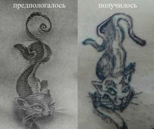 Очень странные татуировки (35 фото)