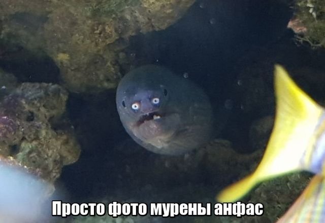   (58 )