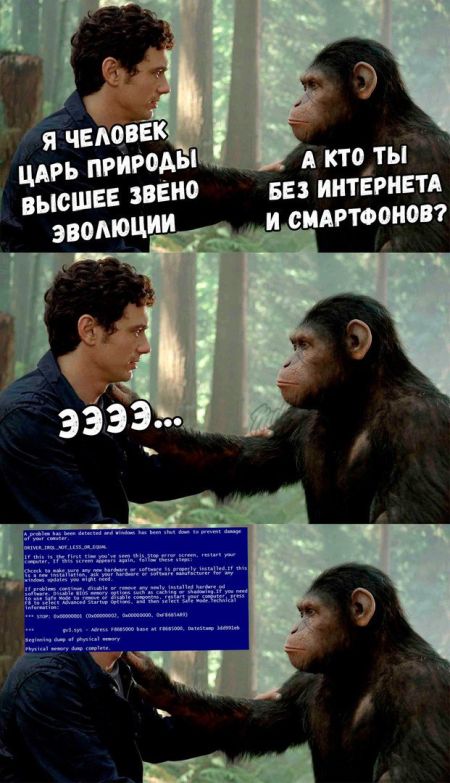 �������� �������� (22 ����)