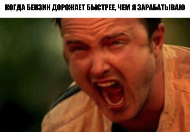�������� �������� (30 ����)