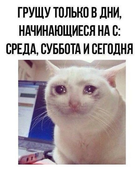 �������� �������� (30 ����)