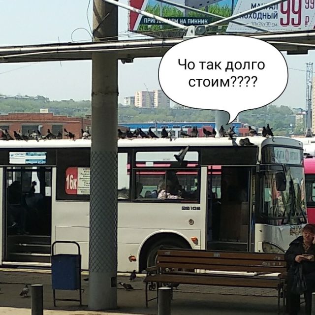 �������� �������� (30 ����)