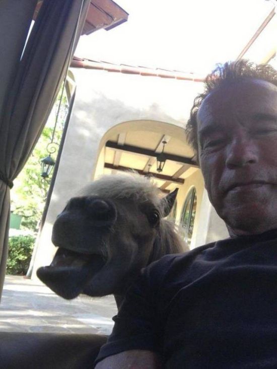   (50 )