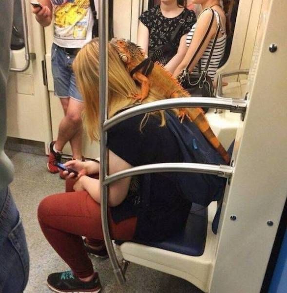 Странности в метро (32 фото)