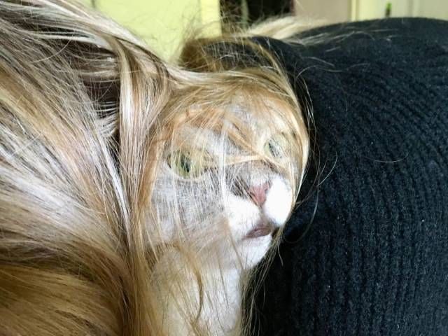   (44 )