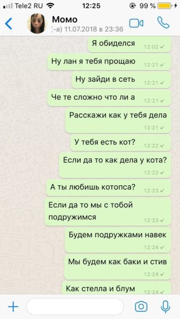    (Momo),      WhatsApp ? (14 )
