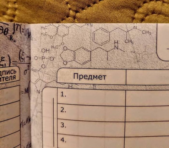 В школьных дневниках обнаружили формулы наркотиков (2 фото)