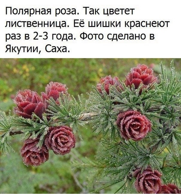   (46 )