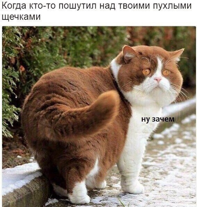   (46 )