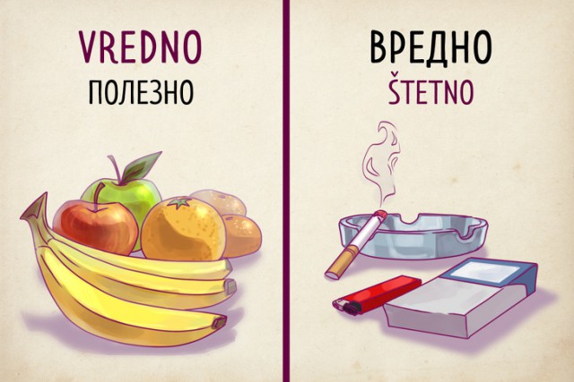 Почему сербский язык способен удивить русскоязычного туриста (19 картинок)