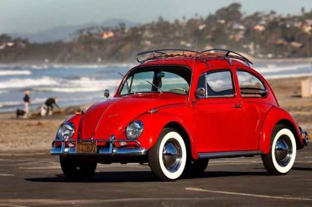 Volkswagen   Beetle,     50  (18 )