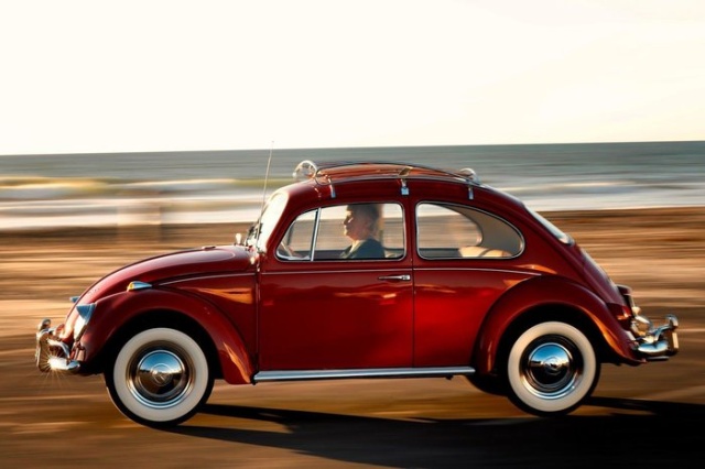 Volkswagen   Beetle,     50  (18 )