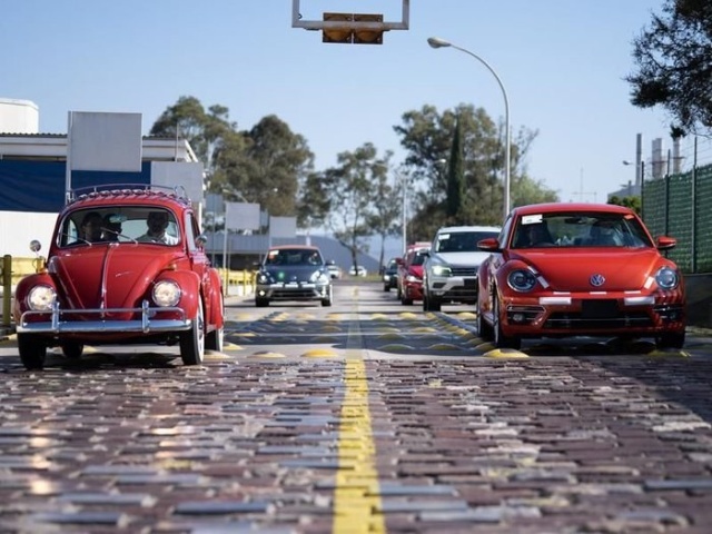 Volkswagen   Beetle,     50  (18 )