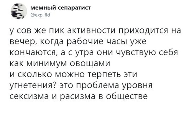     (3 )