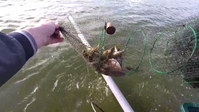 Для чего рыбакам нужна пластиковая труба, когда они рыбачат с лодки? (6 фото)