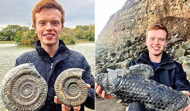 Британец нашел на пляже древнее существо, возраст которого может составлять 185 миллионов лет (3 фото)