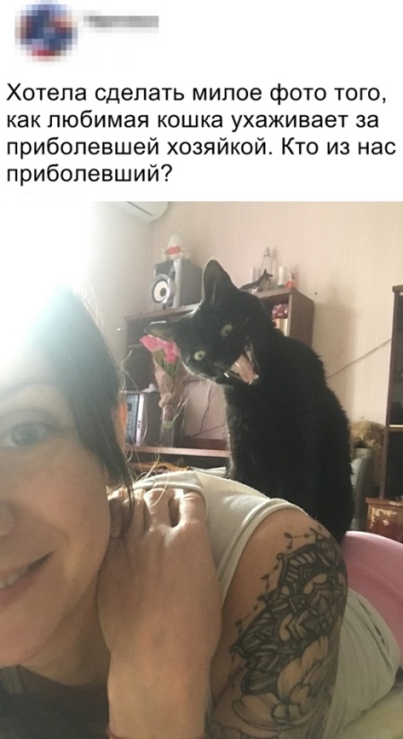   (20 )