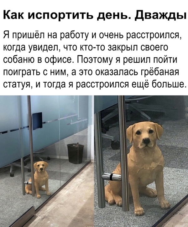 �������� �������� (20 ����)